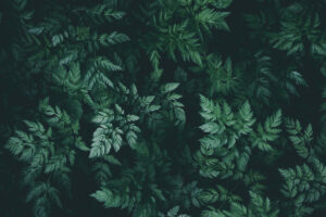 Testing Article